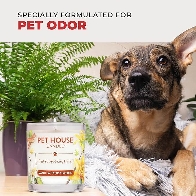 Pet House Scented Candles, Plant Based Pet Candle, Clean Burning, Long Lasting - Image 3