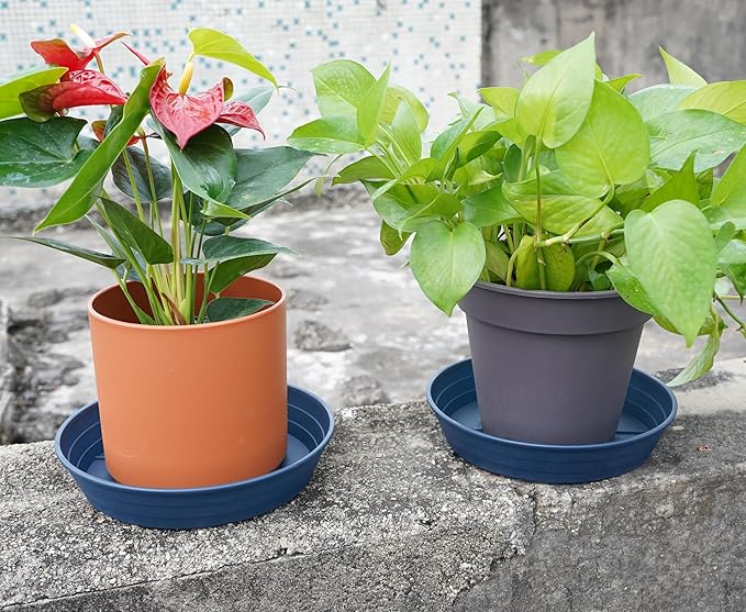 Plant Saucer 8 Inch 4 Pack 6 8 10 12 14 16 18 20 25, Plastic Plant Trays - Image 3