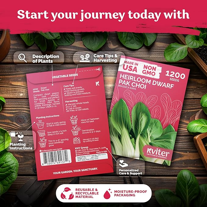 KVITER 1, 200 Baby Bok Choy Seeds - Image 2
