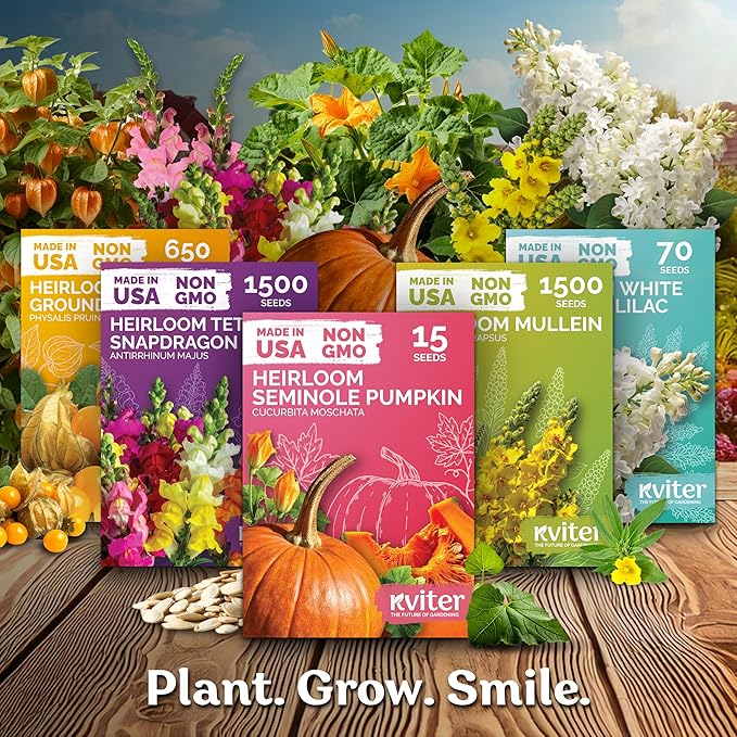 KVITER 900 Cherry Belle Radish Seeds - Image 7