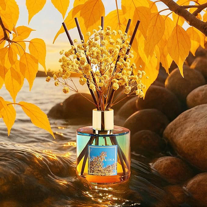 COCORRÍNA Reed Diffuser - Image 3