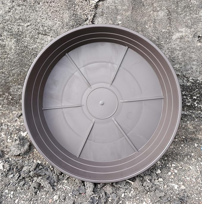 Plant Saucer 6 Inch 4 Pack 6 8 10 12 14 16 18 20 25, Plastic Plant Trays - Image 6