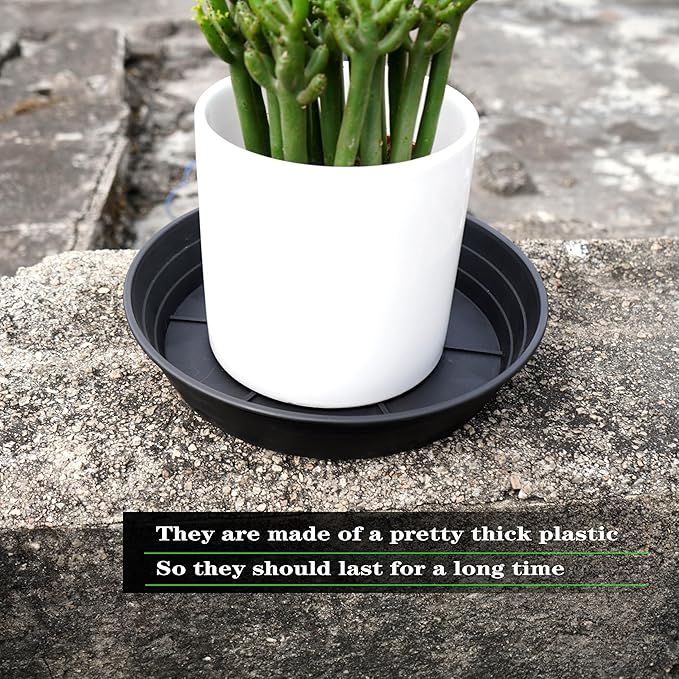 LWALRS 4 Packs 6 Inches Plant Saucer Drip Trays, Round Plastic Plant Pot - Image 6