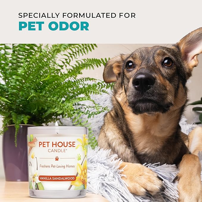 Pet House Candles, Plant-Based, Clean Burning, Long Lasting Pet Friendly Candles - Image 5