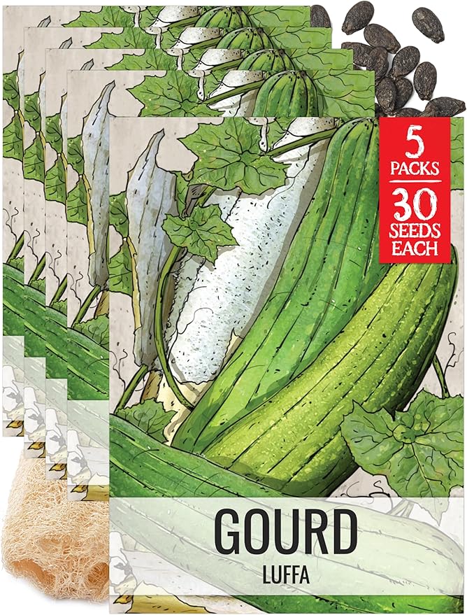 Seed Needs Luffa Seeds for Planting Loofah Sponge Gourds by SeedNeeds