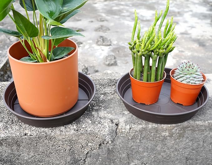 Plant Saucer 8 Inch 4 Pack 6 8 10 12 14 16 18 20 25, Plastic Plant Trays - Image 3
