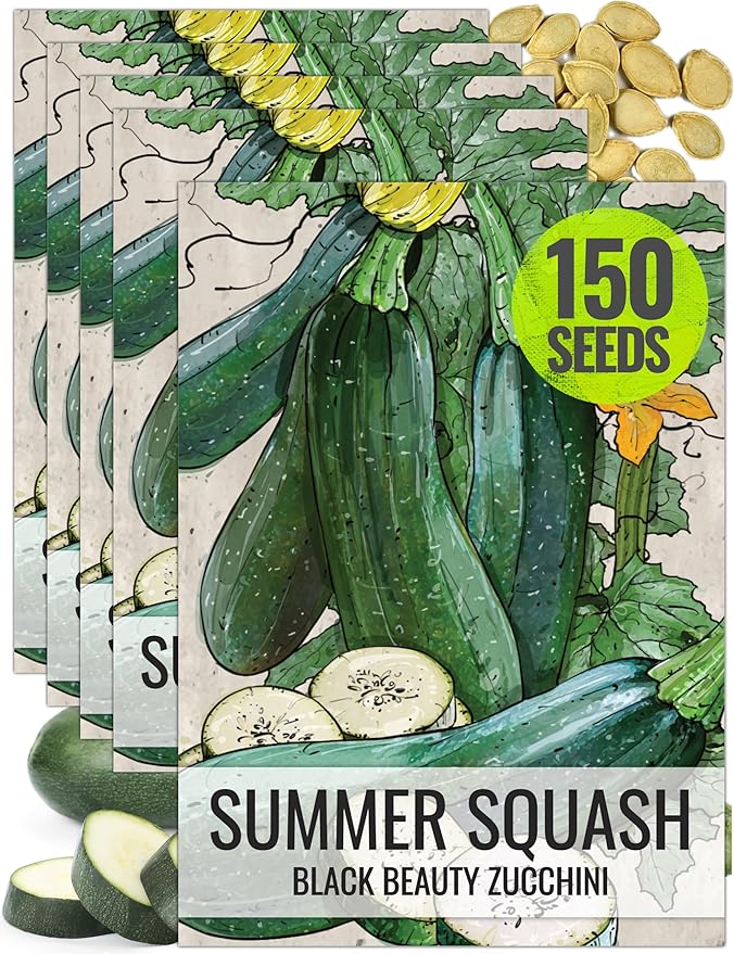 Seed Needs Zucchini Seeds for Planting Black Beauty Summer Squash by SeedNeeds