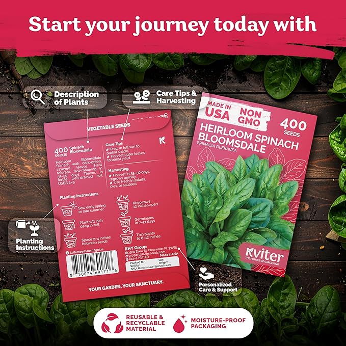 KVITER 400 Bloomsdale Spinach Seeds — Non-GMO & Heirloom, Heat Tolerant - Image 2
