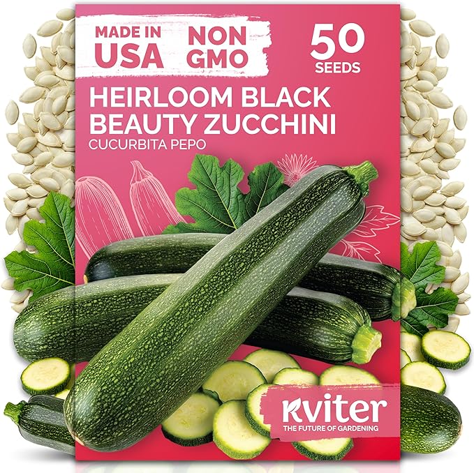 KVITER 50 Black Beauty Zucchini Seeds by KVITER