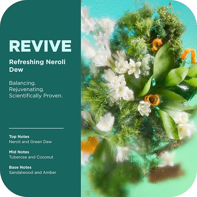 OLLY Revive Body Wash with Magnesium, Electrolytes & Vitamin B12– Nourishing - Image 3