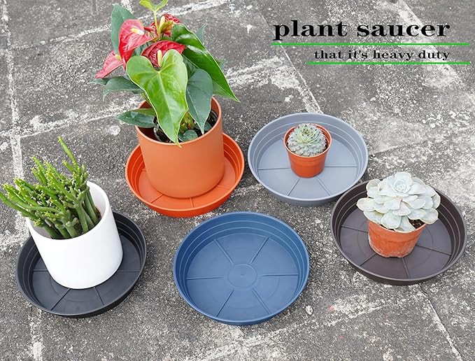 Plant Saucer 6 Inch 4 Pack 6 8 10 12 14 16 18 20 25, Plastic Plant Trays - Image 7