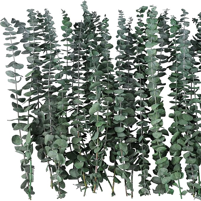 20 Pcs Dried Eucalyptus Stems 17" Real Eucalyptus - Image 2